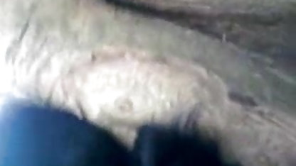 उसे बिल्ली छूत संभोग सेक्सी पिक्चर फिल्म फुल करने के लिए एच. डी.