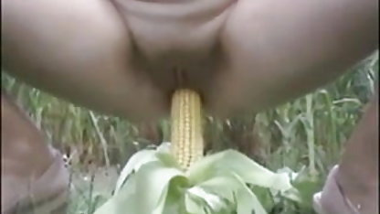 चरम फुल ब्लू सेक्सी पिक्चर गधा प्लग में